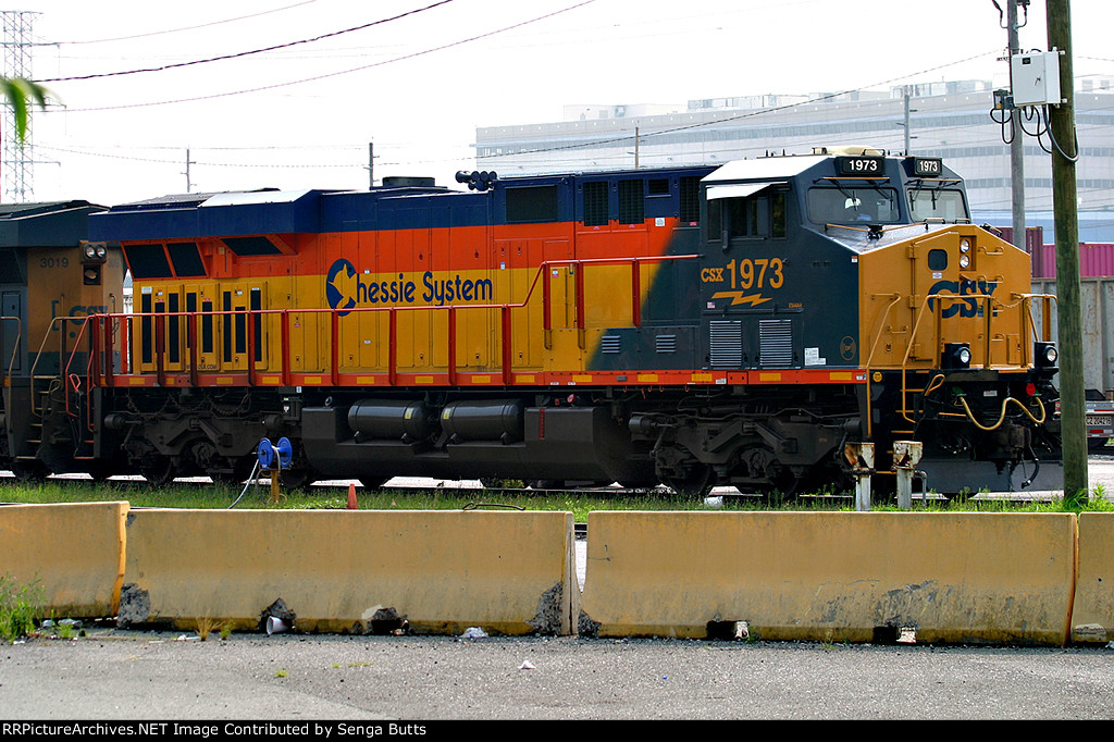 CSX Chessie System Heritage